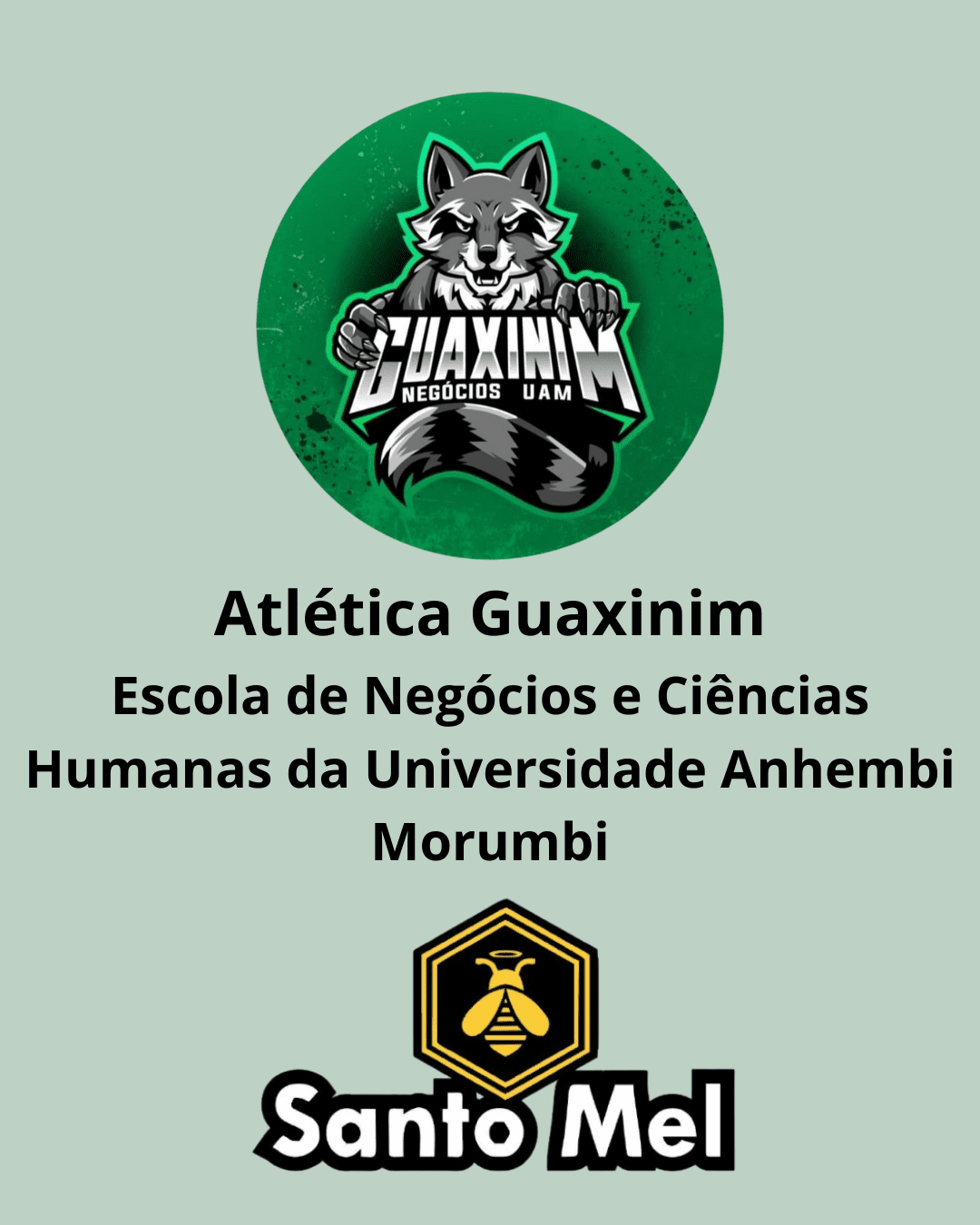 Parceria com a Guaxinim