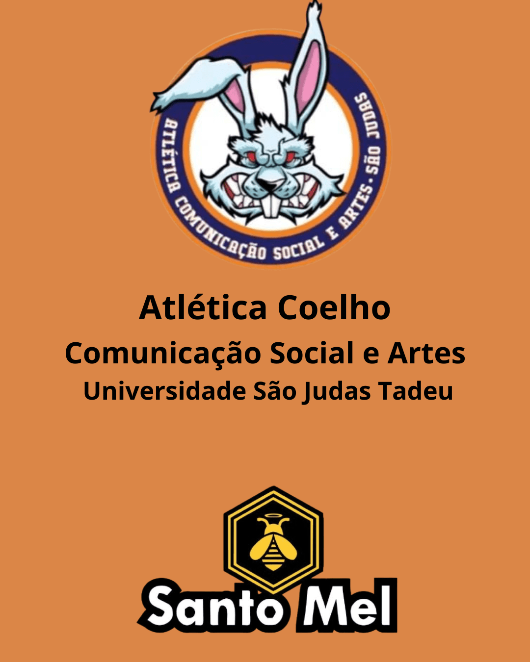 Coelho parceria com Santo Mel